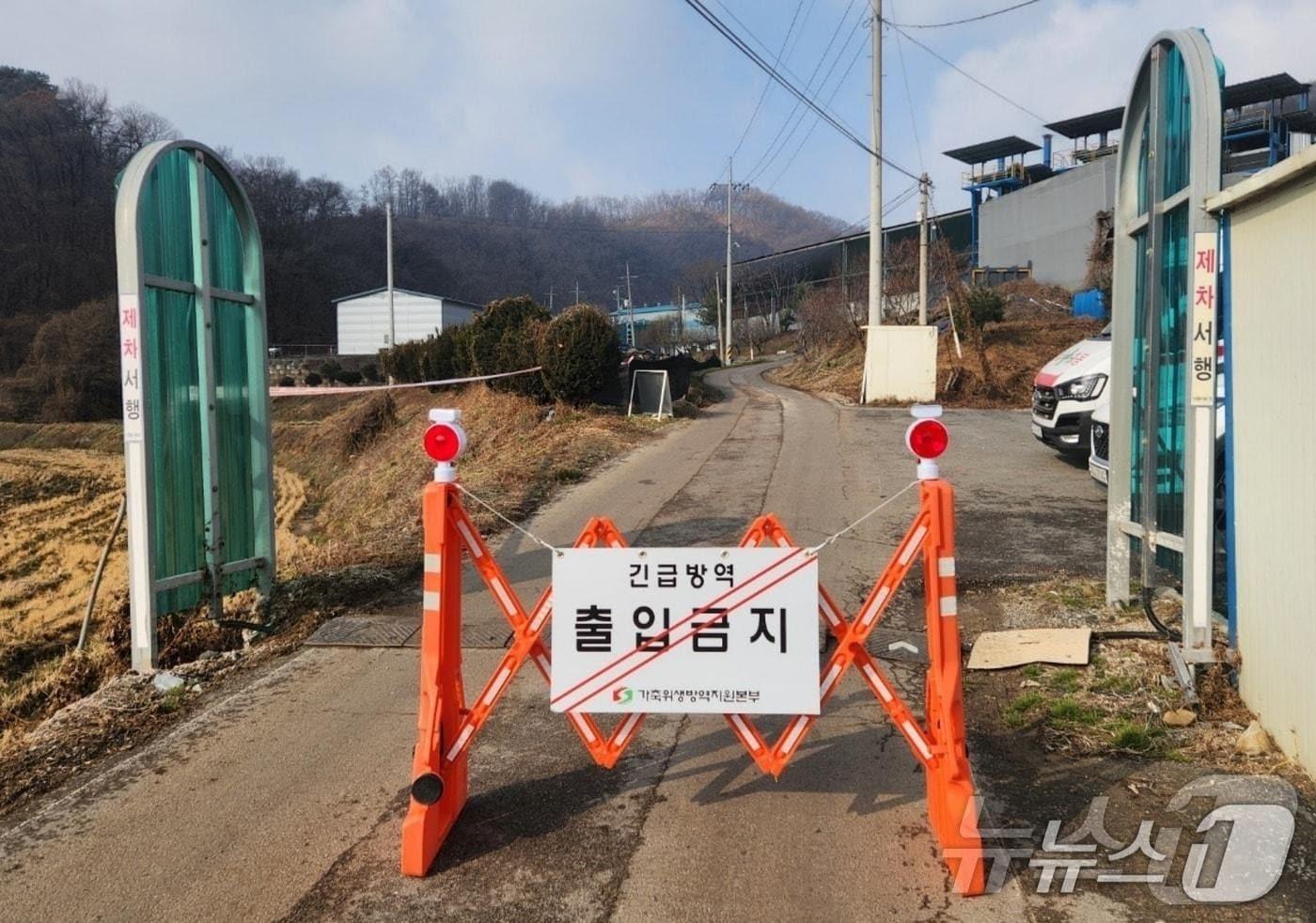 충북 괴산의 산란계 농장에서 고병원성 조류인플루엔자(AI)가 발생해 출입이 통제되고 있다.(괴산군 제공).2025.12.17 ⓒ News1 이성기 기자 