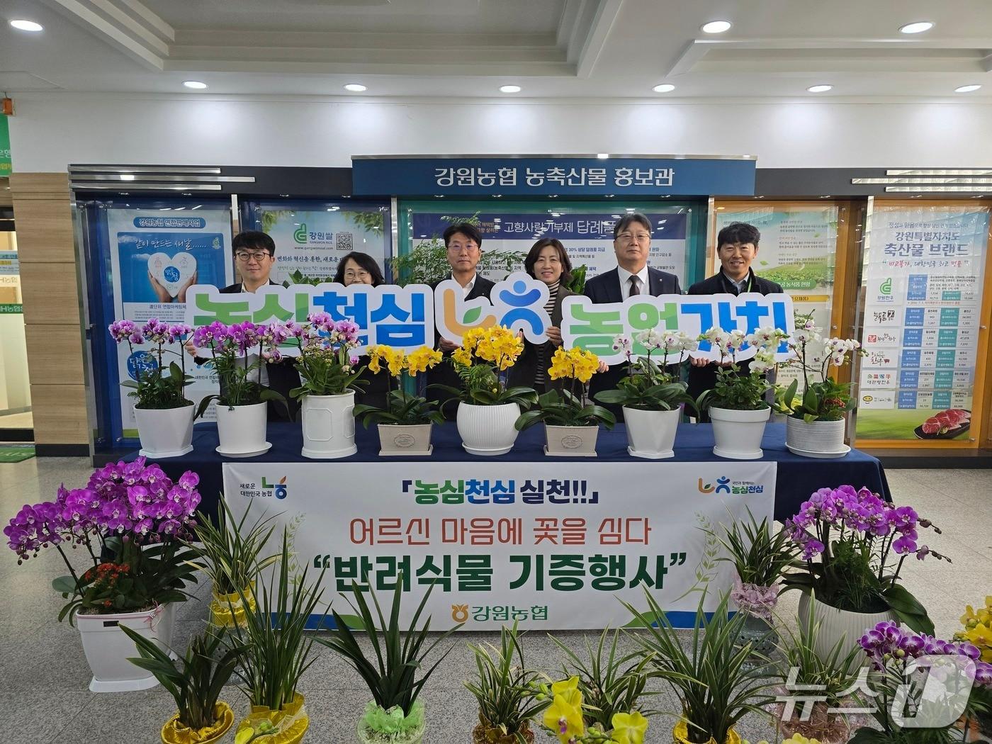 본문 이미지 - 김병용 강원농협 본부장과 이명호 농협은행 강원본부장은 12일 춘천남부노인복지관을 찾아 취임축하 화분 300여 개를 전달했다.(농협 강원본부 제공. 재판매 및 DB금지)/뉴스1