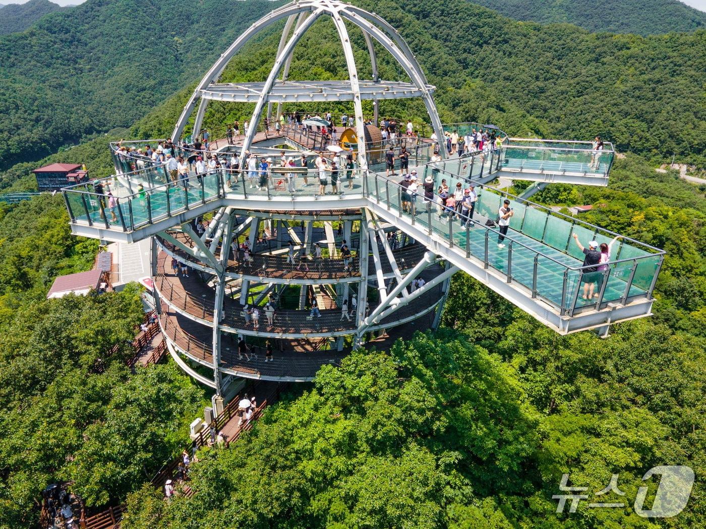 본문 이미지 - 단양 만천하스카이워크.(단양군 제공. 재판매 및 DB금지) /뉴스1  