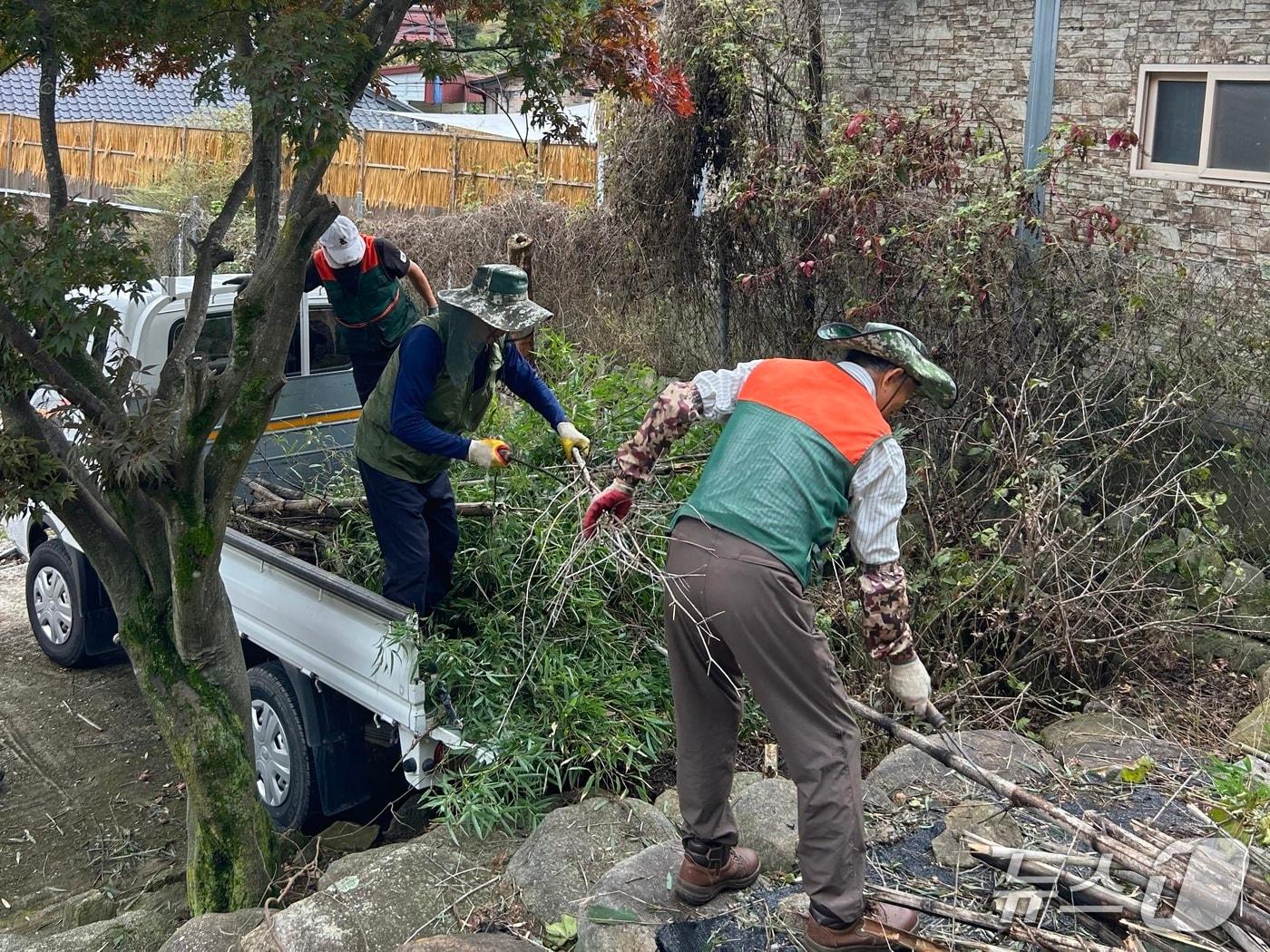 본문 이미지 - 전북 무주군이 16일까지 산림 분야 직업 일자리 근로자 102명을 모집한다.(무주군 제공. 재판매 및 DB 금지)