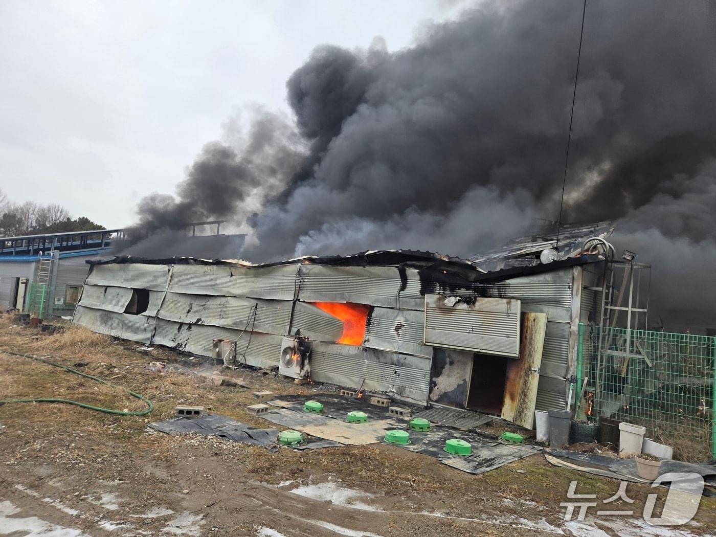 본문 이미지 - 논산 연무읍 버섯농장 화재 현장. (논산소방서 제공, 재판매 및 DB금지) / 뉴스1