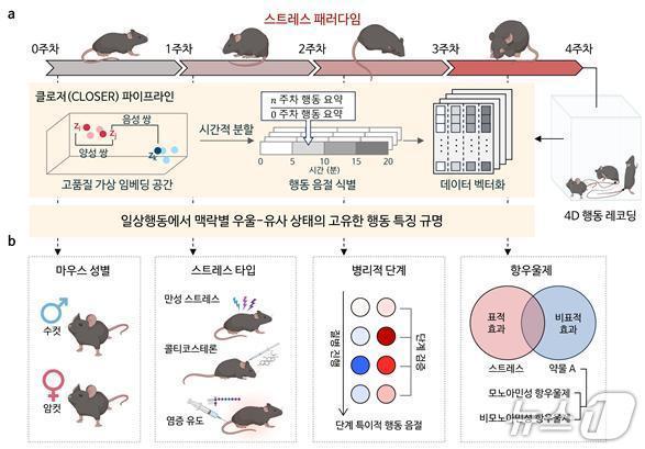 본문 이미지 - AI 기반 일상행동 분석 프로그램 클로저(CLOSER)를 활용한 정신질환 탐지 과정(KAIST 제공) /뉴스1