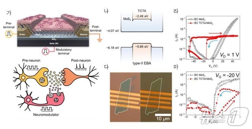 본문 이미지 - 하단접촉식 TCTA/MoS2 멤트랜지스터 구조 및 특성(김택준 고려대 박사 제공) /뉴스1