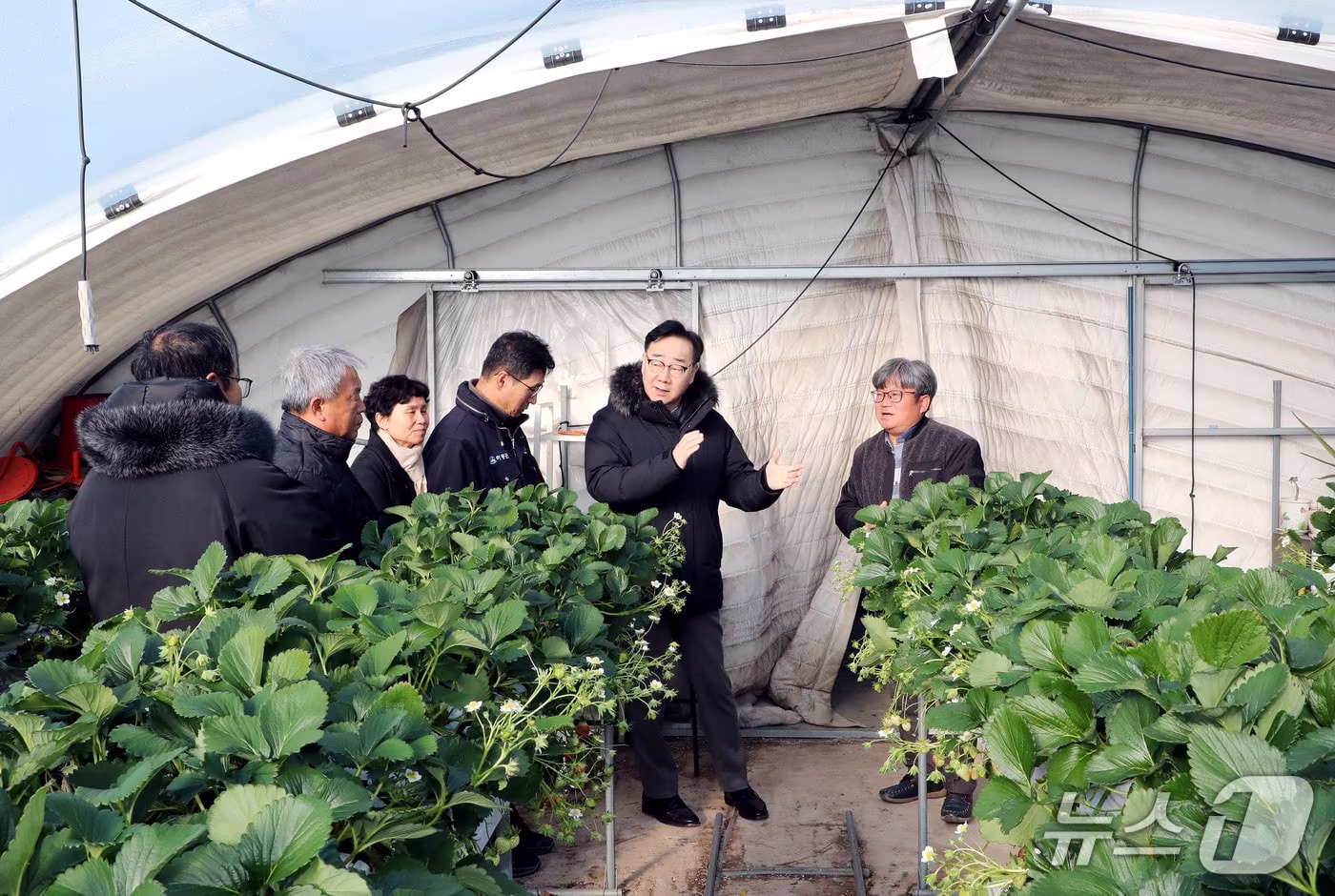 하승철 하동군수(오른쪽 두 번째)가 12일 옥종면 일원의 강풍 피해 농가에서 현장 점검을 하고 있다(하동군 제공. 재판매 및 DB금지).