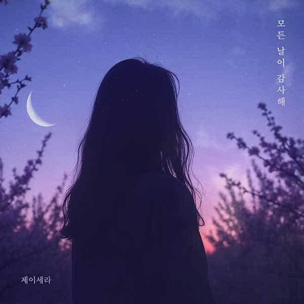 본문 이미지 - 제이세라
