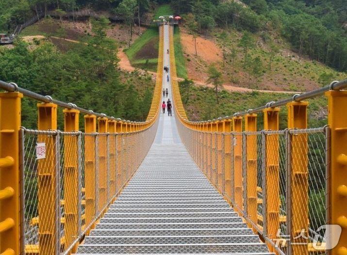 본문 이미지 - 금산군 월영산 출렁다리(금산군 제공.재판매 및 DB금지)/뉴스1