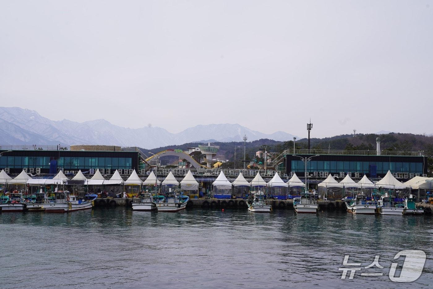 속초지역 항구 자료사진.(속초시 제공, 재판매 및 DB 금지)