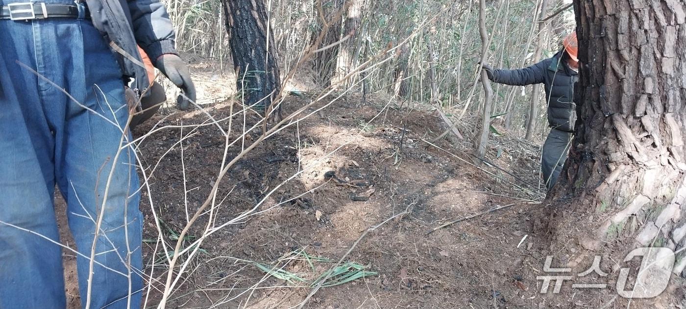 13일 오후 2시 10분께 울산시 울주군 상북면 명촌리 야산에서 불이 났다.(산림청 제공. 재판매 및 DB금지)/뉴스1