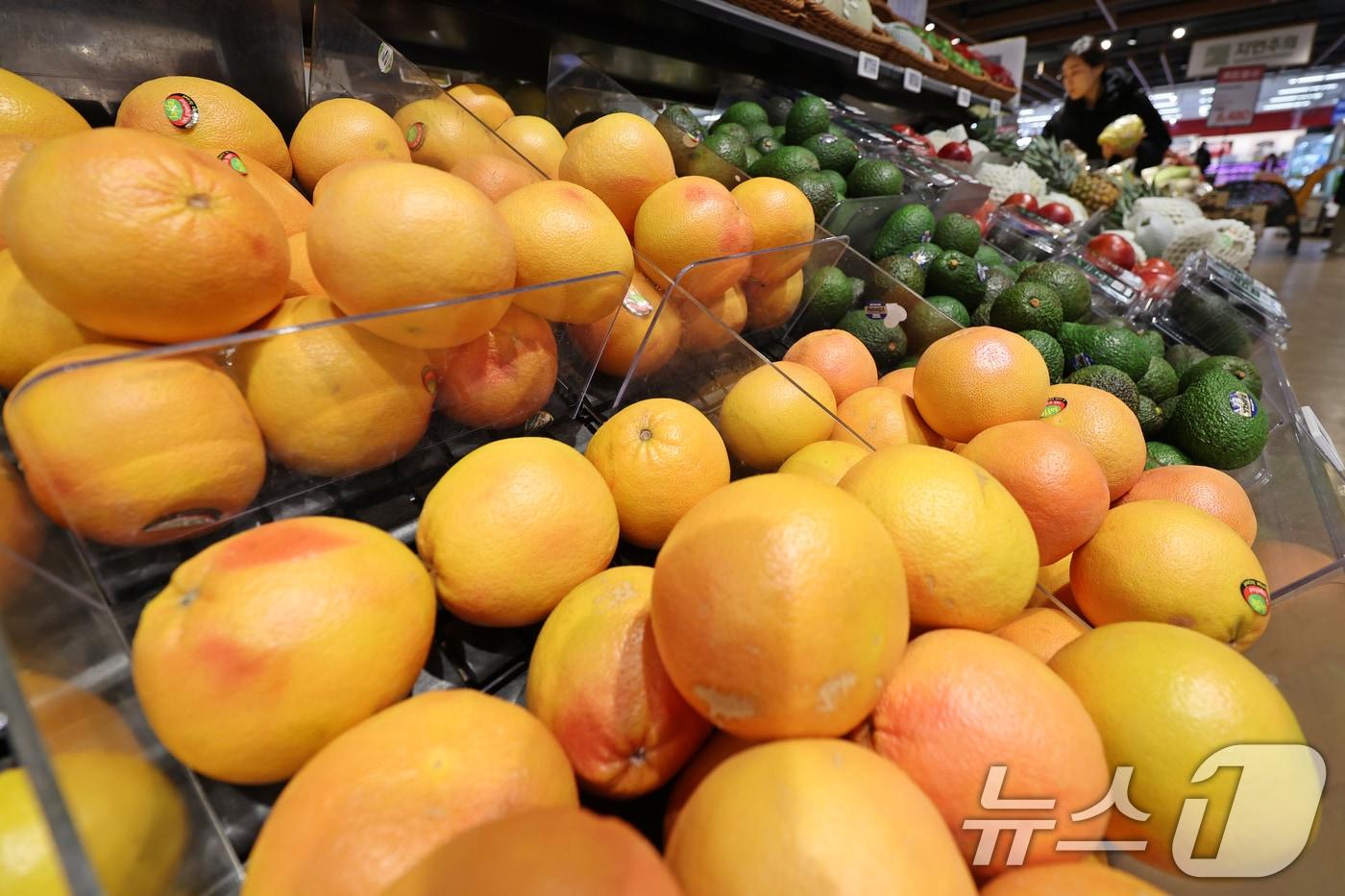 본문 이미지 - 14일 서울시내 한 대형마트에 수입 과일이 진열돼 있다. 2026.1.14/뉴스1 ⓒ News1 황기선 기자