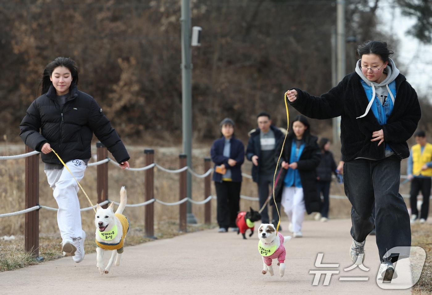 본문 이미지 - 14일 경기 화성시 마도면 반려마루 화성에서 청소년 자원봉사자들이 방학을 맞아 보호동물과 교감활동을 하고 있다. 2026.1.14/뉴스1 ⓒ News1 김영운 기자