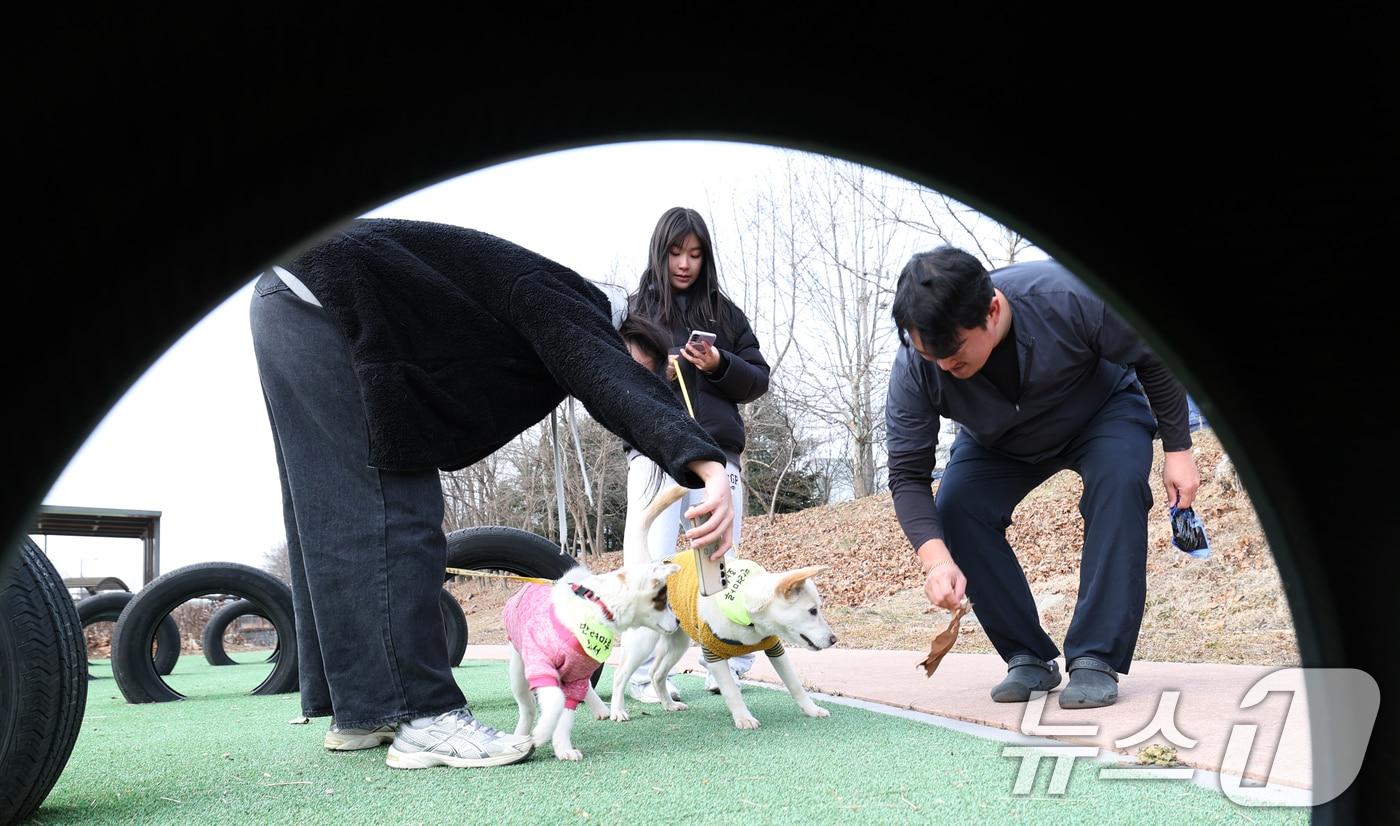본문 이미지 - 14일 경기 화성시 마도면 반려마루 화성에서 청소년 자원봉사자들이 방학을 맞아 보호동물과 교감활동을 하고 있다. 반려마루 화성은 연간 6000여명이 찾아 봉사활동을 진행하며 자원봉사자 모집은 연중 수시로 모집하고 있다. 2026.1.14/뉴스1 ⓒ News1 김영운 기자