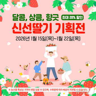 본문 이미지 - 곡성몰 신선딸기 기획전 홍보물 
