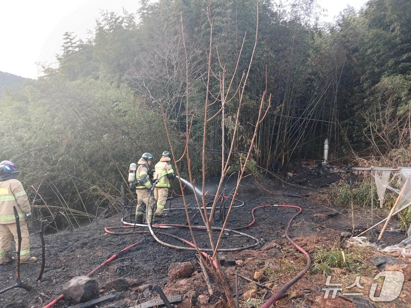 본문 이미지 - 14일 오후 4시 4분쯤 전남 장흥군 대덕읍의 한 대나무 밭에서 불이 나 소방당국이 진화 작업을 하고 있다. (전남소방 제공. 재판매 및 DB 금지)
