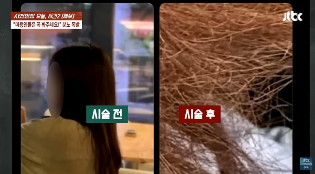 본문 이미지 - (JTBC '사건반장' 갈무리)