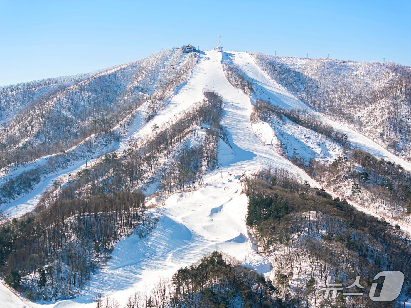 본문 이미지 - 강원 평창 휘닉스파크 슬로프 전경.(휘닉스파크 제공, 재판매 및 DB 금지) 2026.1.15/뉴스1