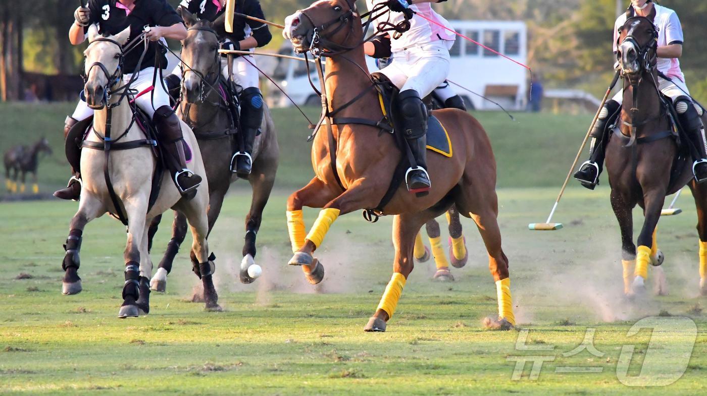 본문 이미지 - 경북도와 경주시, ㈜루브루가 15일 ‘경주 코리아 폴로파크 관광단지 조성’을 위한 협약(MOU)을 맺었다.(경북도 제공. 재판매 및 DB금지) /뉴스1