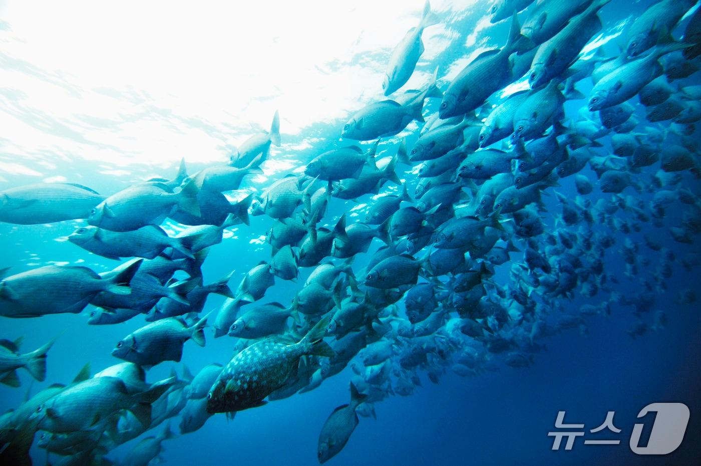 본문 이미지 - 사진은 기사내용과 관련 없음(이미지출처: 클립아트코리에)ⓒ 뉴스1
