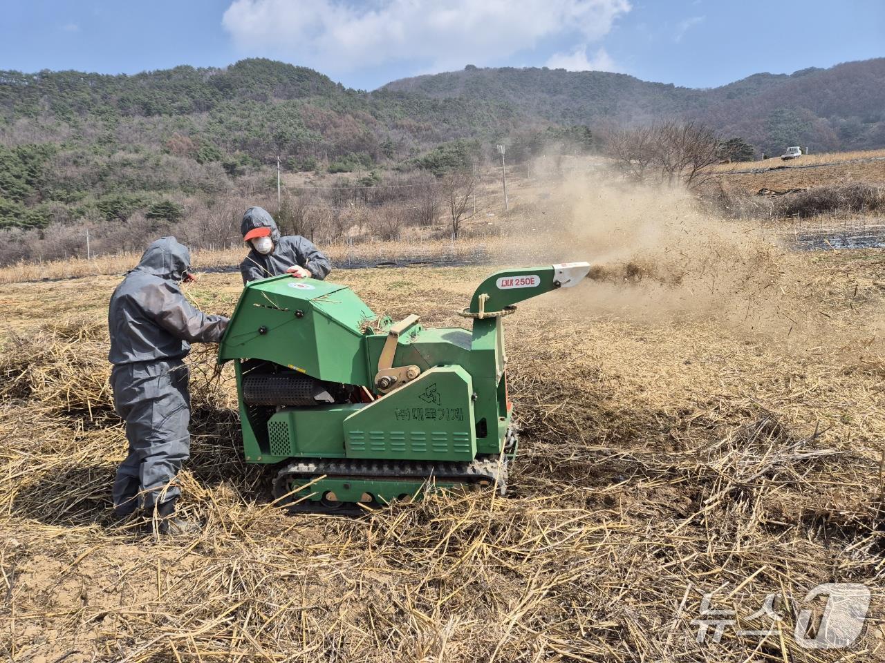 본문 이미지 -  지난해 단양군 영농 부산물 파쇄 모습.(단양군 제공. 재판매 및 DB금지)/뉴스1  
