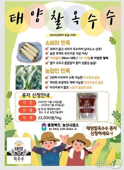 본문 이미지 - 태양찰옥수수 종자 지원 홍보물(옥천군 제공. 재판매 및 DB금지) /뉴스1 