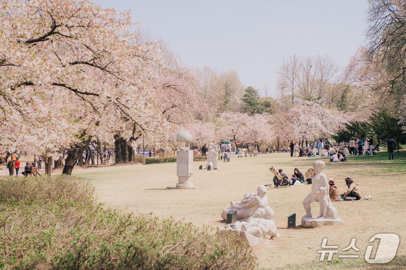 본문 이미지 - 어린이 대공원 모습(서울시청 제공)