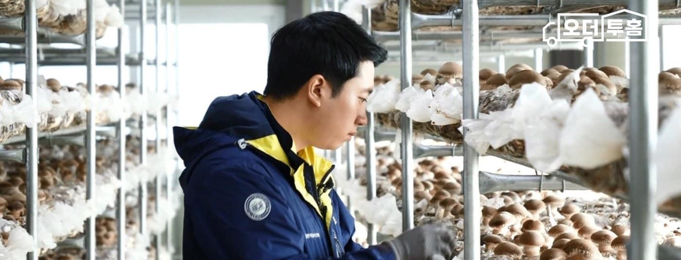 본문 이미지 - 최영창 농가 '미송화 버섯세트' 산지사진(이마트 제공)