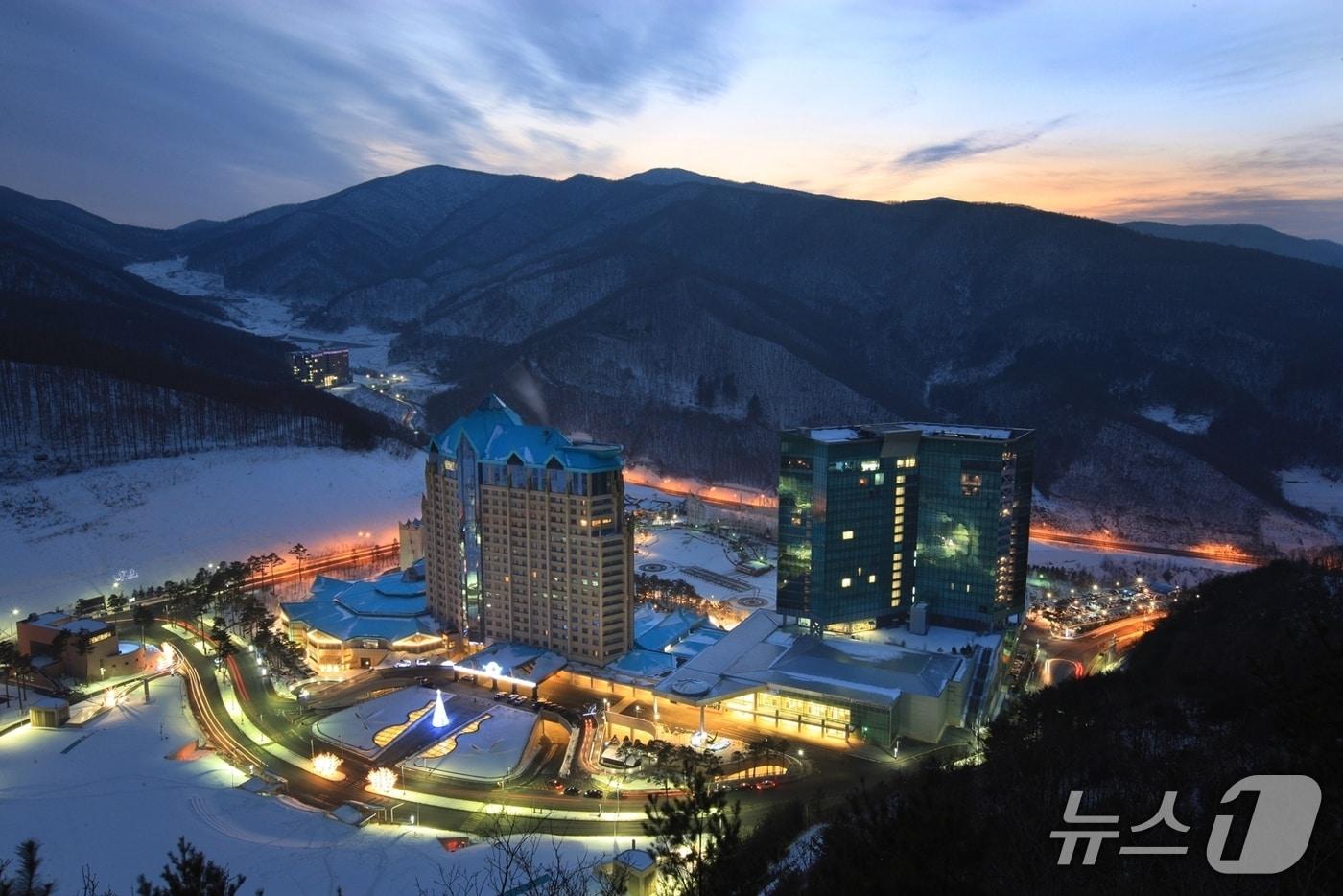 본문 이미지 - 강원랜드 자료 사진. (재판매 및 DB금지)/뉴스1