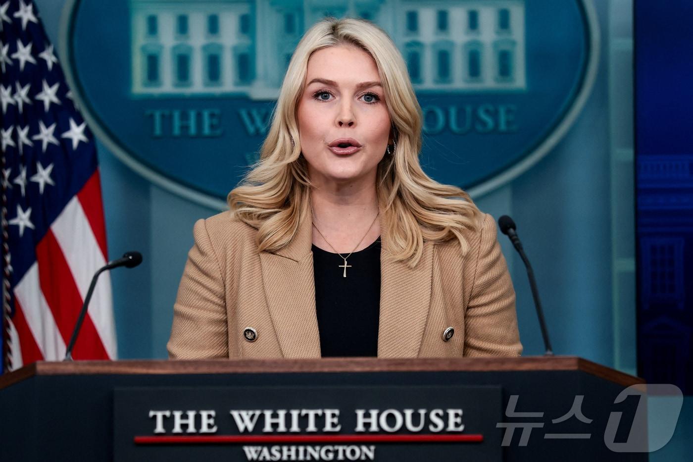 본문 이미지 - 캐롤라인 레빗 미국 백악관 대변인이 15일(현지시간) 워싱턴DC에서 언론 브리핑을 진행하고 있다. 2026.01.15. ⓒ 로이터=뉴스1 ⓒ News1 류정민 특파원