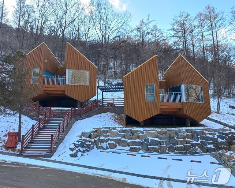 본문 이미지 - 보은군 충북알프스자연휴양림 내 트리하우스(보은군 제공. 재판매 및 DB금지)/뉴스1