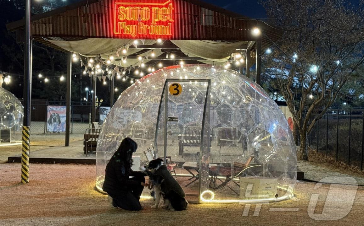 본문 이미지 - 윈터 돔 빌리지(소노인터내셔널 제공)