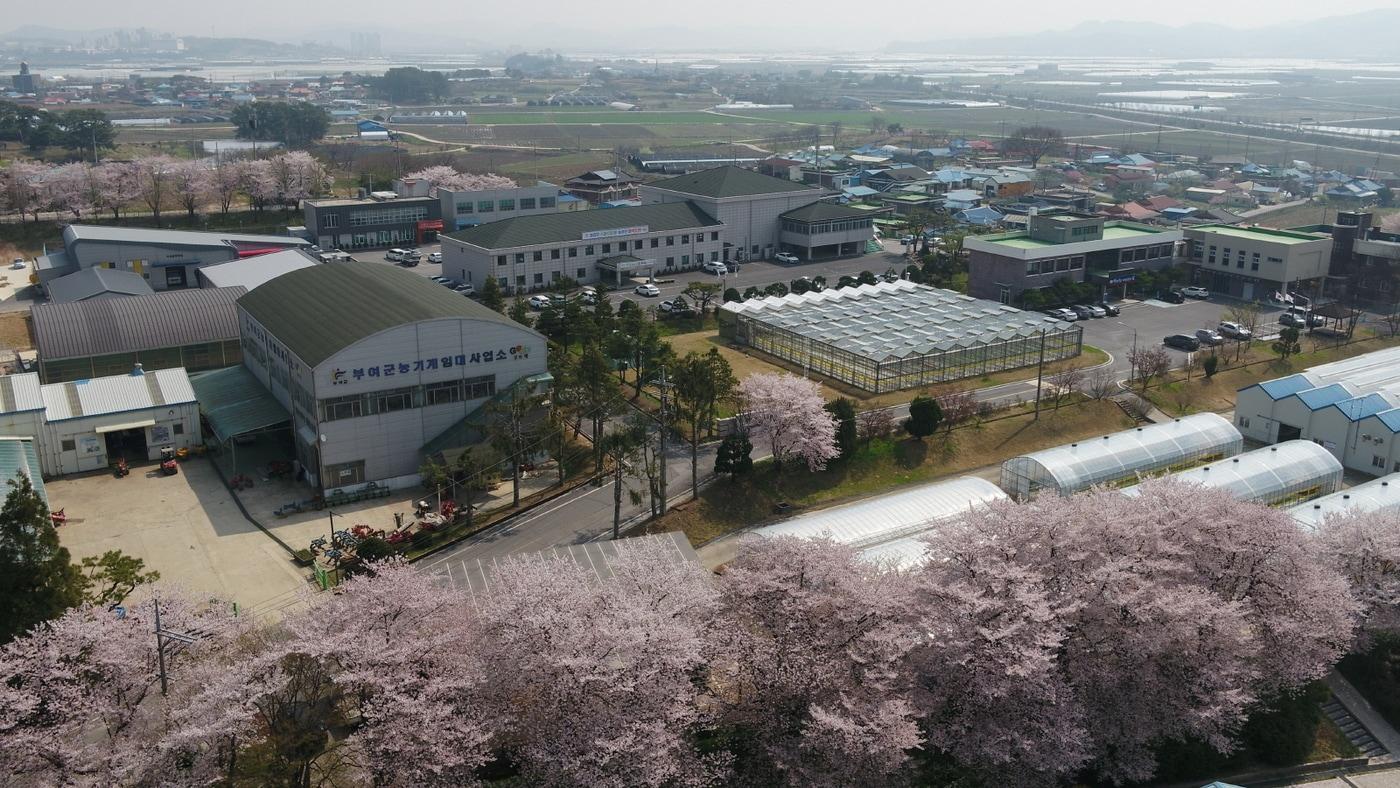 본문 이미지 - 부여군 농업기술센터 전경,(부여군 제공. 재판매 및 DB금지)/뉴스1