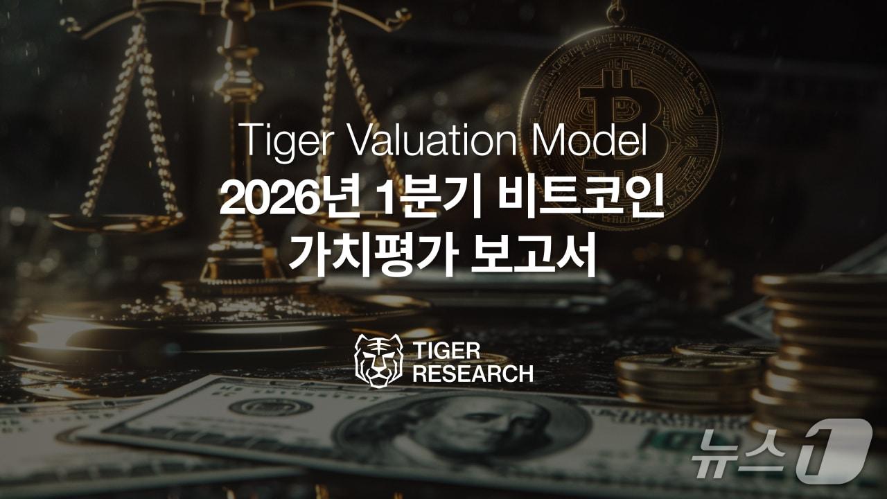 본문 이미지 - 타이거리서치 제공.