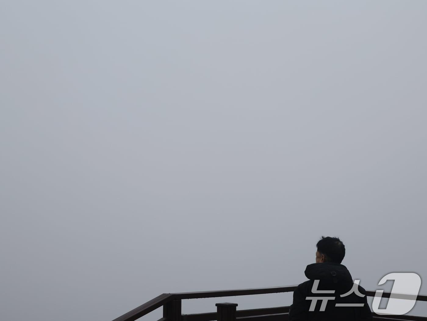 본문 이미지 - 자료사진./뉴스1