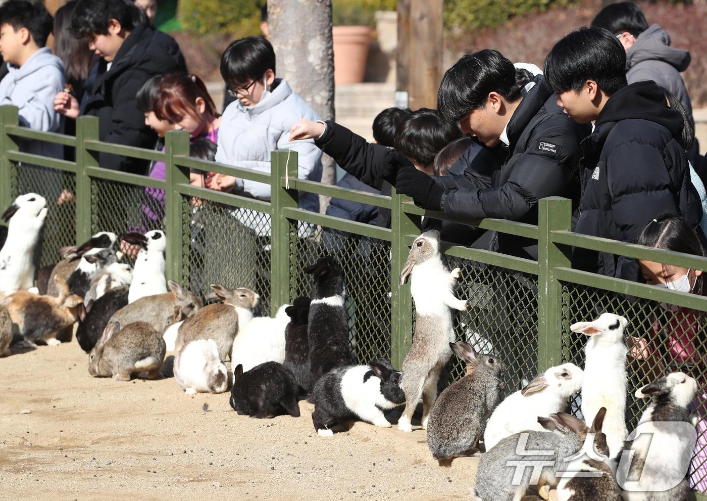 본문 이미지 - 겨울답지 않게 포근한 날씨가 이어진 16일 대구 달서구 테마파크 이월드를 찾은 어린이들이 토끼 먹이 주기 체험을 하고 있다. 2026.1.16/뉴스1 ⓒ News1 공정식 기자