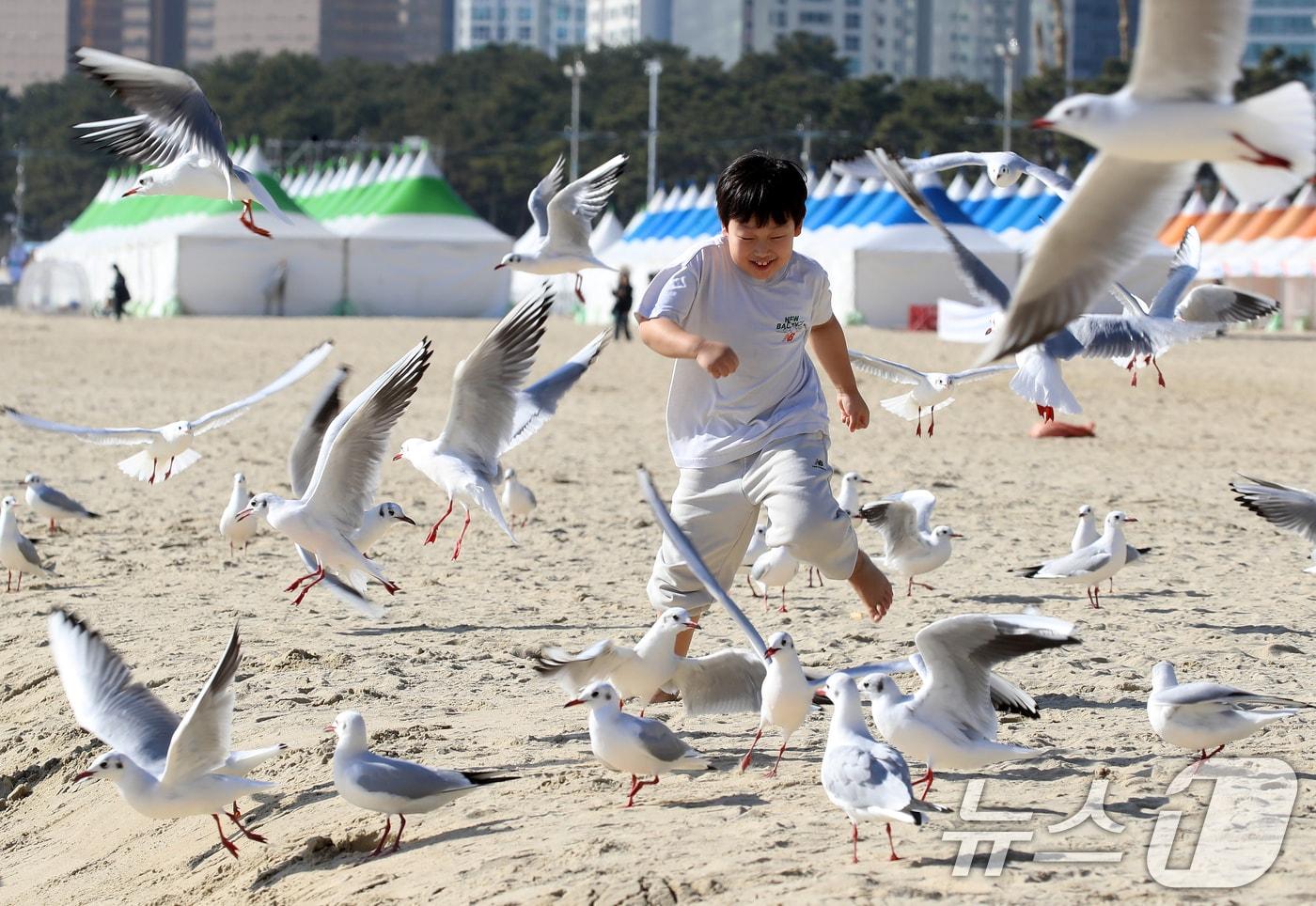 본문 이미지 - 포근한 날씨를 보인 지난달 16일 부산 해운대해수욕장에서 반팔 차림을 한 어린이가 갈매기의 군무를 보며 즐거운 시간을 보내고 있다. 2026.1.16 ⓒ 뉴스1 윤일지 기자