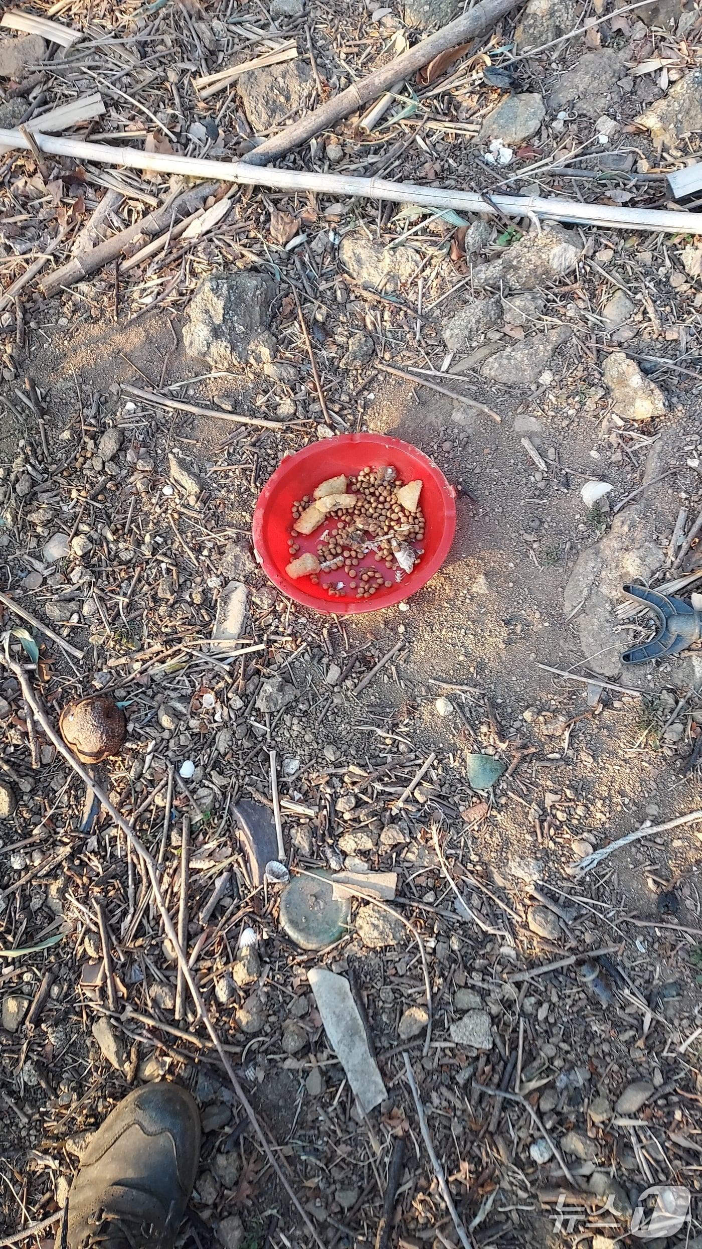 본문 이미지 - 독극물이 섞인 것으로 추정되는 먹이. (독자 제공. 재판매 및 DB금지)