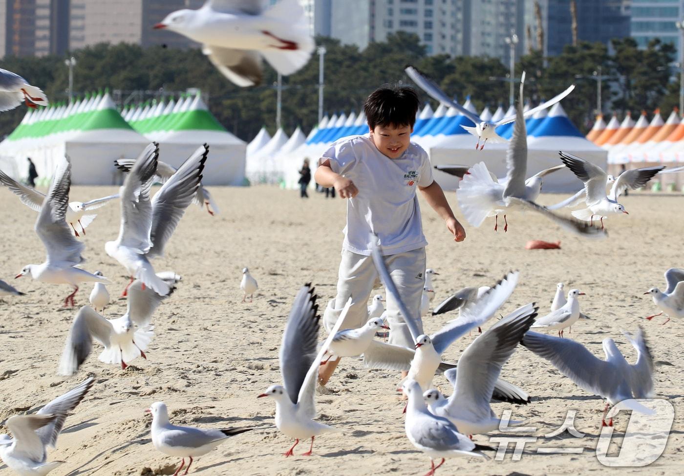 본문 이미지 - 포근한 날씨를 보인 16일 부산 해운대해수욕장에서 반팔 차림을 한 어린이가 갈매기의 군무를 보며 즐거운 시간을 보내고 있다. 2026.1.16/뉴스1 ⓒ News1 윤일지 기자
