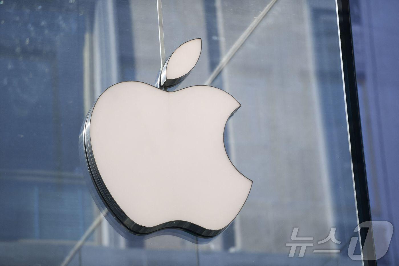 본문 이미지 - ⓒ AFP=뉴스1