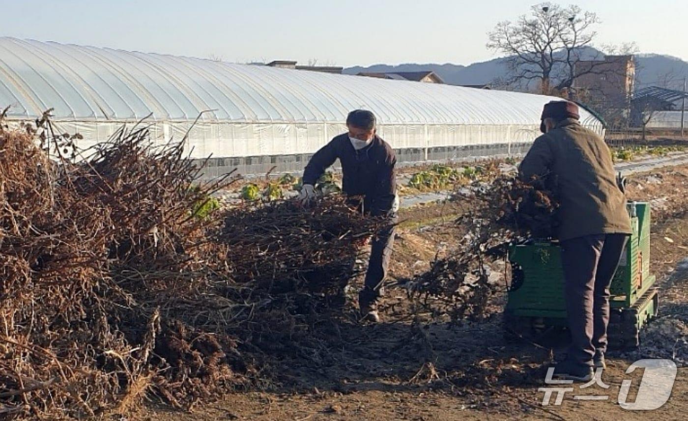 본문 이미지 - 충북 진천군이 영농 부산물 파쇄 작업을 지원하고 있다.(진천군 제공, 재판매 및 DB금지)/뉴스1