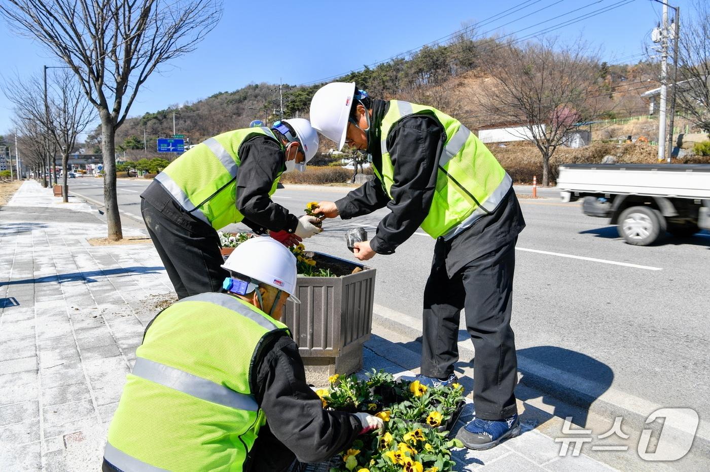 본문 이미지 - 공공일자리사업 참여자들이 꽃길조성을 하고 있다.(영주시 제공. 재판매 및 DB 금지)2026.1.17/뉴스1
