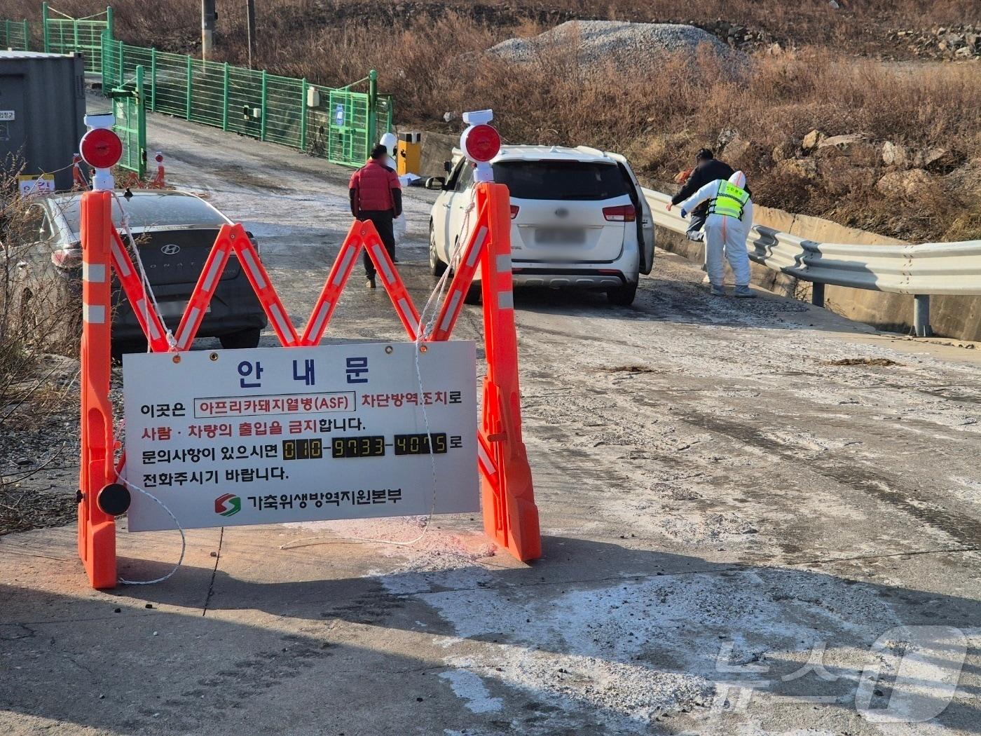 본문 이미지 - 토요일인 17일 오전 강원 강릉시 강동면의 한 양돈농가에서 아프리카돼지열병(ASF)이 발생한 가운데, 방역 관계자가 출입 차량을 대상으로 소독 작업을 하고 있다. 강원 지역에서 ASF가 확인된 것은 2024년 11월 홍천군 이후 약 1년 2개월 만이다. 2026.1.17/뉴스1 ⓒ News1 윤왕근 기자