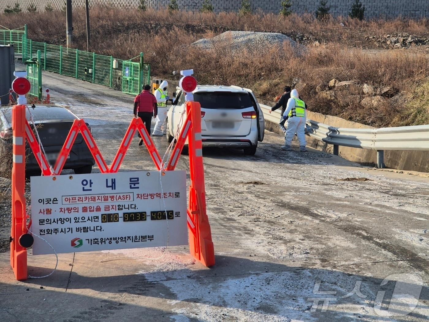 본문 이미지 - 지난 17일 오전 강원 강릉시 강동면의 한 양돈농가에서 아프리카돼지열병(ASF)이 발생한 가운데, 방역 관계자가 출입 차량을 대상으로 소독 작업을 하고 있다. 강원 지역에서 ASF가 확인된 것은 2024년 11월 홍천군 이후 약 1년 2개월 만이다. 2026.1.17/뉴스1 ⓒ News1 윤왕근 기자