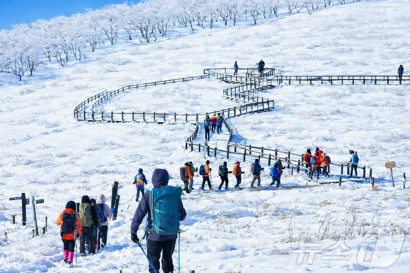 본문 이미지 - 지난 1월 17일 인제군 기린면에 위치한 곰배령에서 트레킹을 즐기는 탐방객들. (인제군 제공, 재판매 및 DB) 2026.1.18 ⓒ 뉴스1 한귀섭 기자