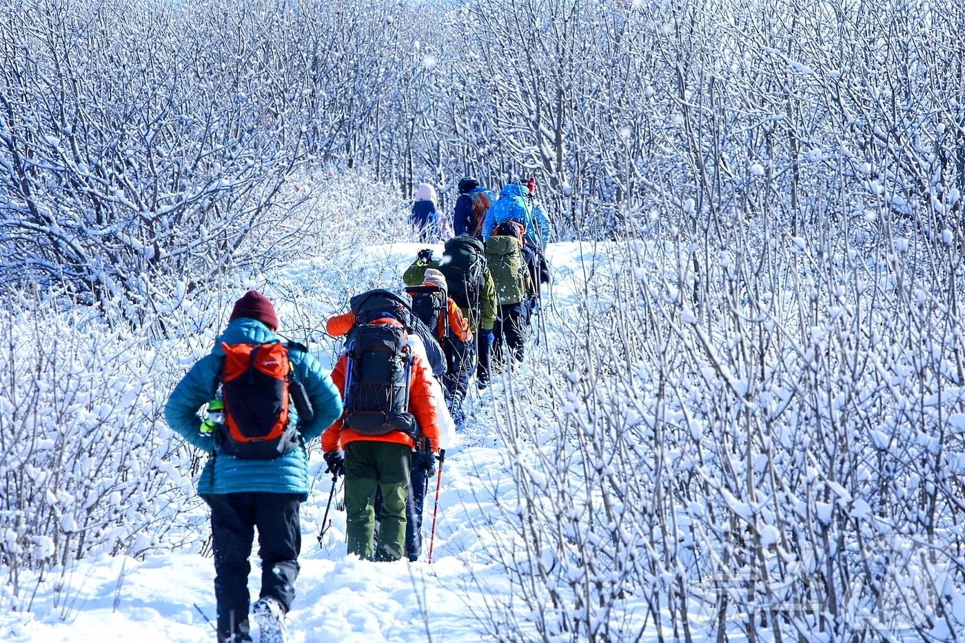 본문 이미지 - 인제 곰배령 겨울 트래킹 자료사진. (인제군 제공, 재판매 및 DB) 
