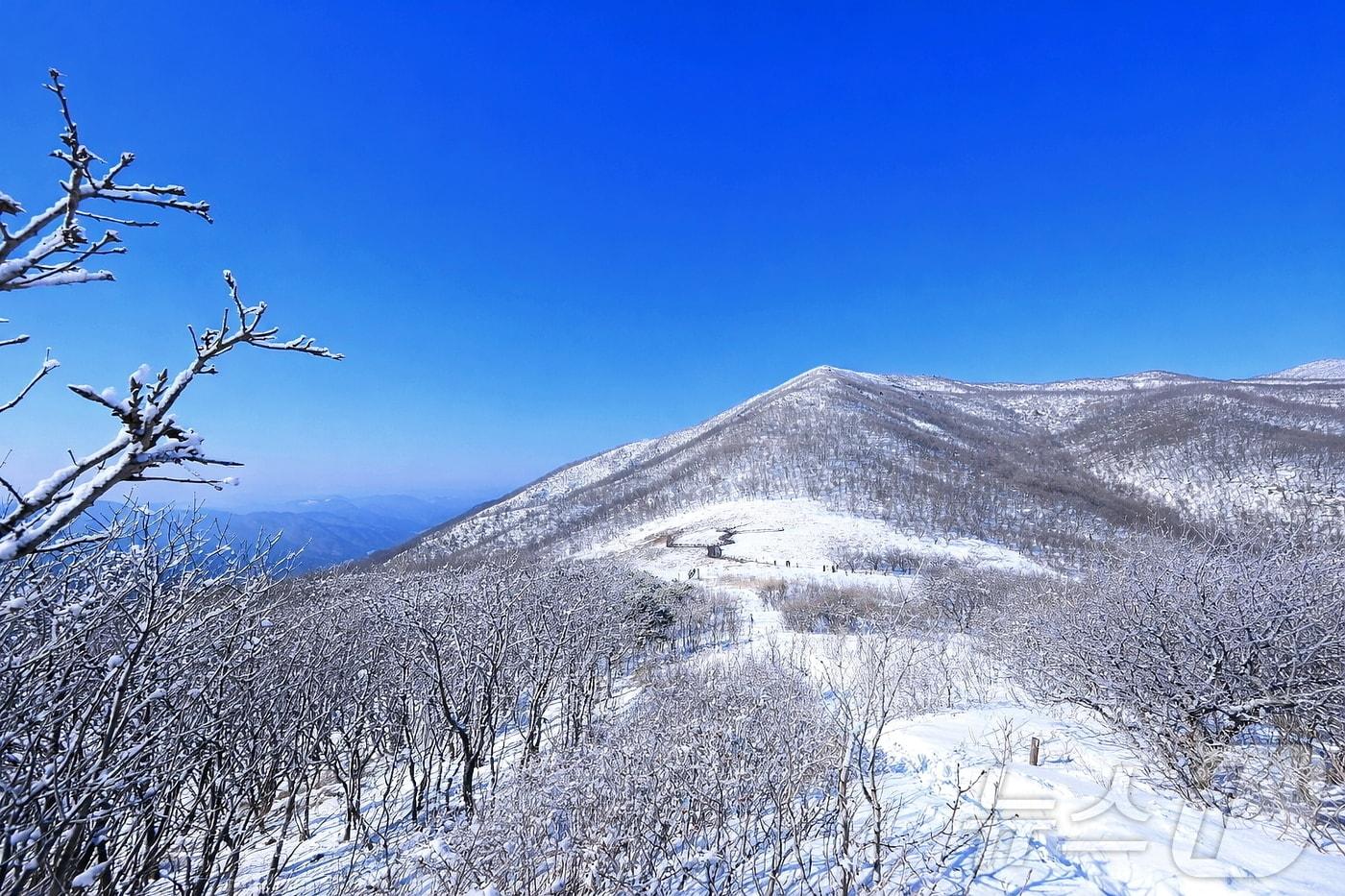 본문 이미지 - 인제군 기린면에 위치한 곰배령에 내린 눈.(자료사진)/뉴스1 DB