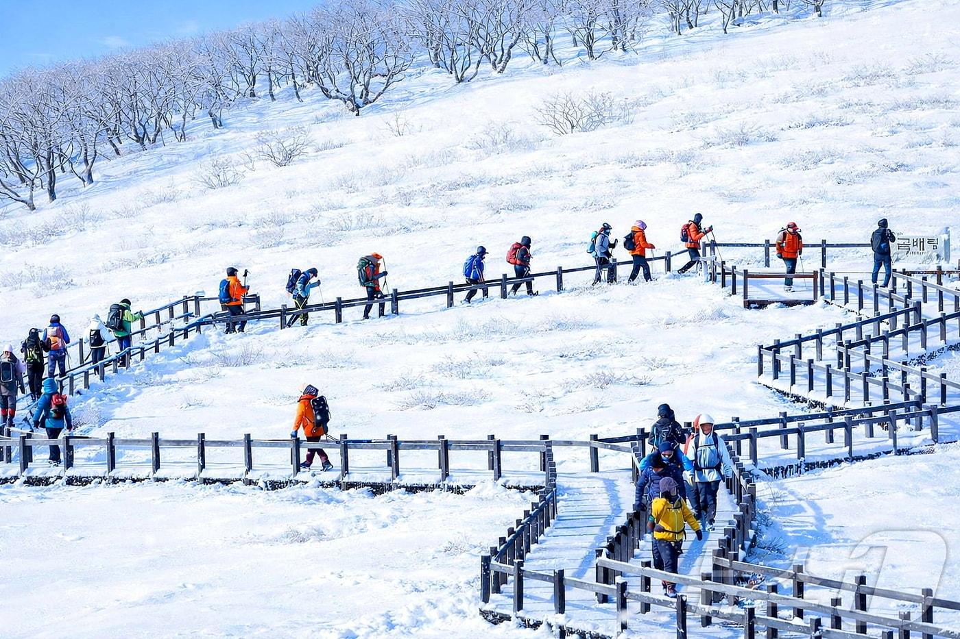 본문 이미지 - 인제군 기린면에 위치한 곰배령에서 탐방객들이 트레킹을 즐기는 모습. '천상의 화원' 이라고도 불리는 곰배령은 3.7㎞ 왕복 4시간 코스이며 오전 9시부터 오후 2시까지 운영된다.(자료사진)/뉴스1 DB