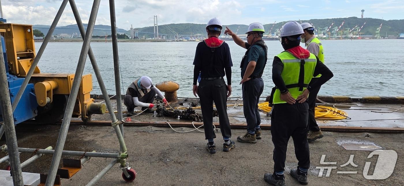 본문 이미지 - 항만시설 안전점검.(울산항만공사 제공. 재판매 및 DB금지)/뉴스1