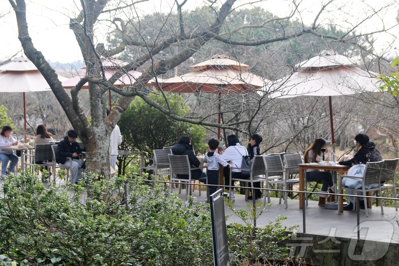 본문 이미지 - 제주도 서귀포시 안덕면 오설록 서광차밭에서 관광객들이 포근한 날씨를 만끽하고 있다.2026.1.18/뉴스1 ⓒ News1 홍수영 기자