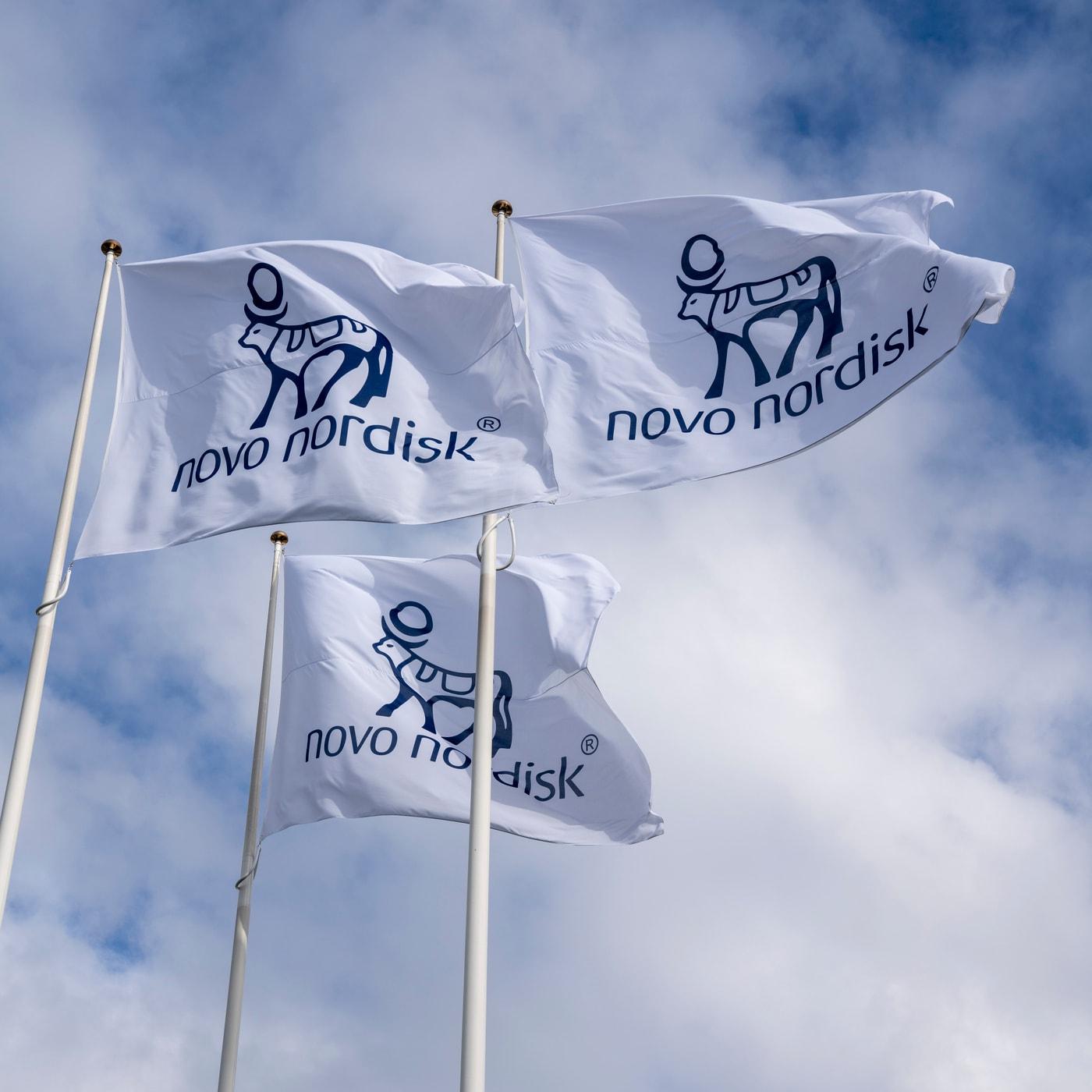 본문 이미지 - (노보 노디스크 제공) 