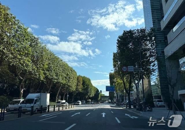 본문 이미지 - 성동구 광나루길 양버즘나무.(서울시 제공)