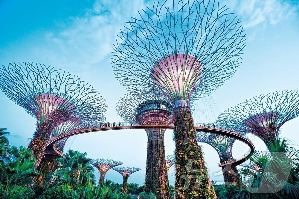 본문 이미지 - 싱가포르 가든스 바이 더 베이(노랑풍선 제공)